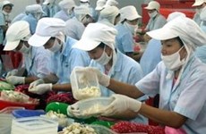 越南工人收入增长较快
